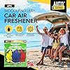 SOL 6pk Woodland Air Fresheners, Vanilla, Berry, and New Car Scent for Men or Women, Perfume-Inspired Fragrance Multipack, Long Lasting Smell, Perfect for Keeping Vehicles Fresh Inviting #2