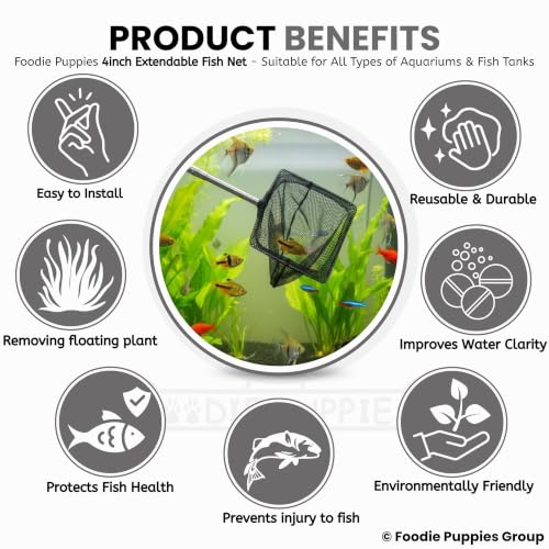Image of Foodie Puppies Extendable Fish Net (4 Inch /10 cm) | Aquarium Fish Net with 9-22 Inch Telescopic Handle for Betta, Small Koi Pond & Pool | Stainless Steel Handle, Fine Mesh Net for Fish & Shrimp Tank