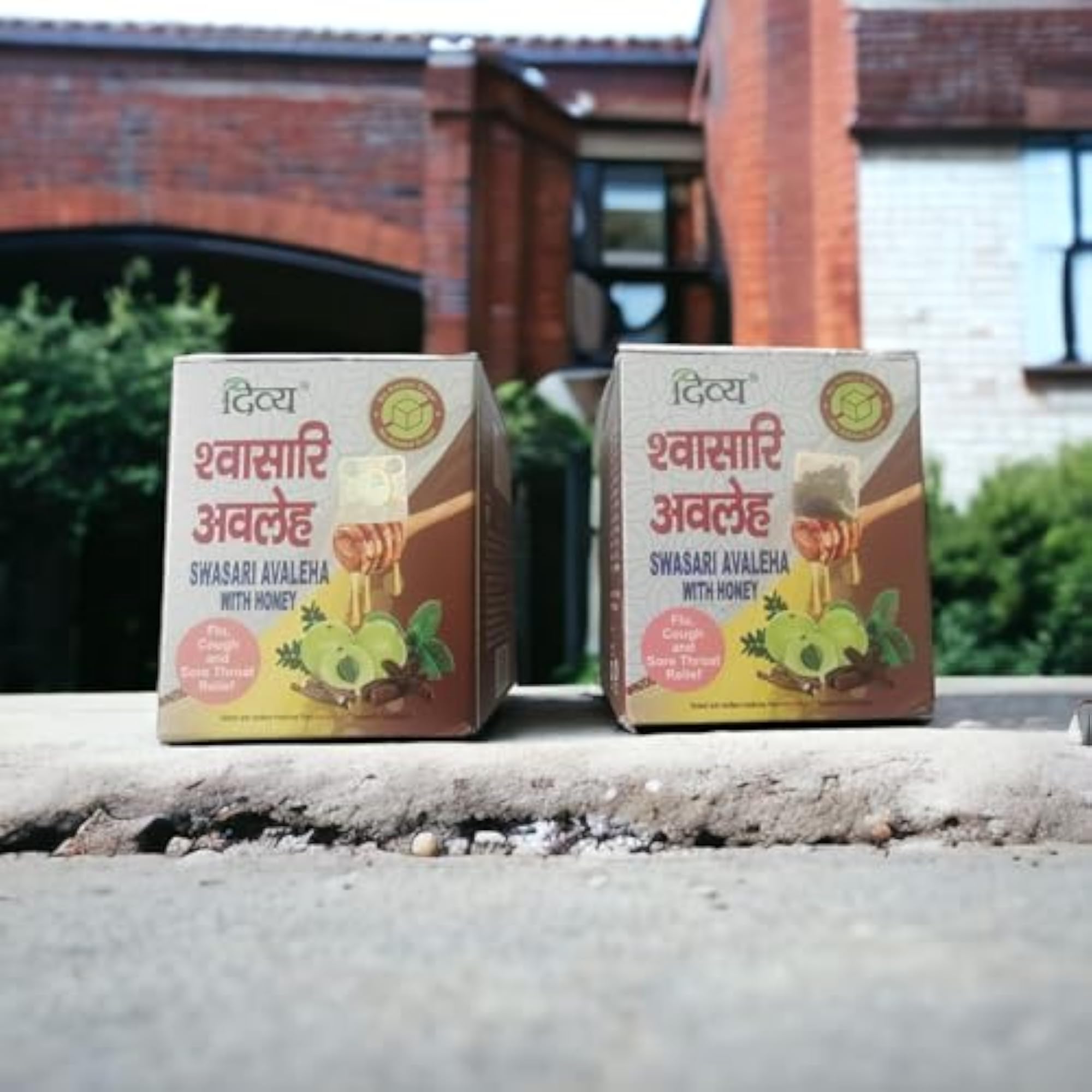 Divya Swasari Avaleha (150G)