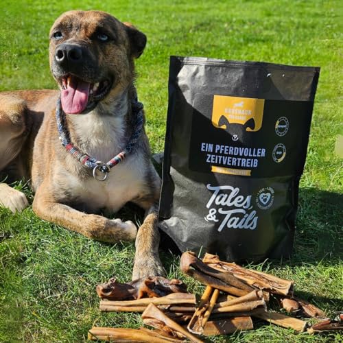 Tales&Tails - EIN PferdVoller Zeitvertreib - 100% Pferdehaut - Kauartikel für Hunde - 500g
