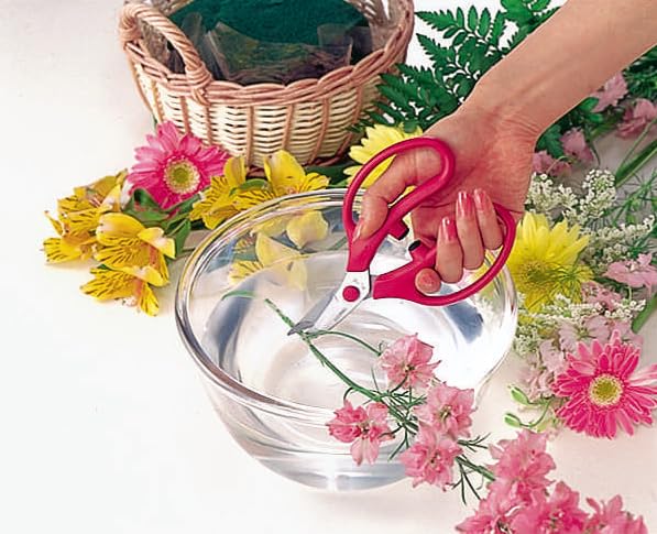 Amazon | アルスコーポレーション 花はさみ フランバン ロング