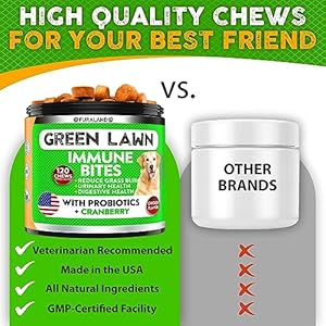 Grass Burn Spot Saver Chews Caused by Dog Pee Lawn- Grass Treatment Rocks – DL-Methionine + Digestive Enzymes – Dog Urine Neutralizer – Soft Treats