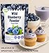 Freeze Dried Wild Blueberry Powder – 4 oz Blueberry Extract Supplement for Yogurt, 100% Pure No Additives, No Sugar 10:1 Fruit Powder for Smoothies, Baking, Dessert, Food Coloring, Energy Drink Powder