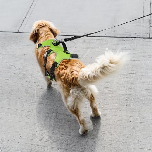 Jewyow Hundegeschirr Leuchtend, Wiederaufladbare LED Hundegeschirr, Led Geschirr für Hunde mit Weicher Griff, 3 Einstellbare Modus, Wasserdicht für Mittelgroße, Große Hund, Green-L
