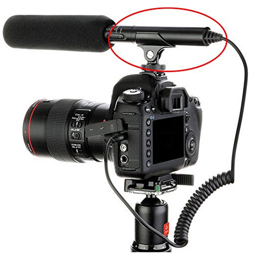 Foto4easy Hot Shoe Clip Microphone Boom Mic Mount Holder for DSLR SLR Camcorder Camera (Black)