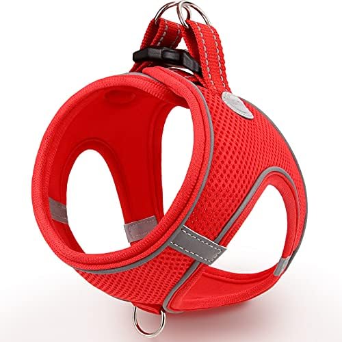 Joytale Step in Dog Harness,Soft Mesh Reflective Breathable Vest Harnesses,Easy Walk Harness with Safety Buckle for Extra Small and Small Dogs,S,Teal