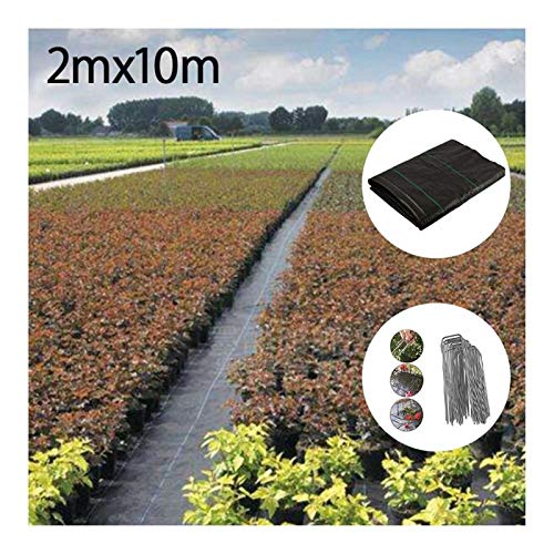 WY 2m X 10m Anti-malezas Tela, Resistente Al Desgarro Permeable Al Agua, De Alta UV Estabilización De Cinta De Tela, 100 G / M2 Tela Paisaje
