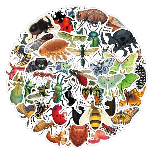 55 oO  J[gD[ OtBeB XebJ[Zbg  lC h X[cP[X M^[  oCN ]  wbg p\R X}z m[g fJ[ Xm{ XP[g{[h ו X}zP[X p