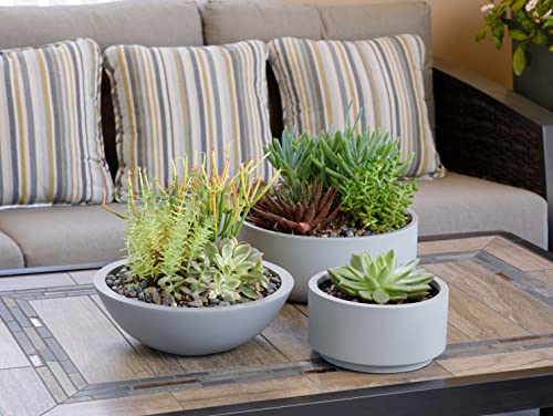 Craftandform Indoor/Outdoor Large Nordic Minimalist Fiberstone Lightweight Round Low Bowl Planter Pot/ 20, 16, 12 In Mattefinish Accent Centerpiece Patio Décor (Large: 19.75" D X 6.5" H, Smooth Gray) #TOP5