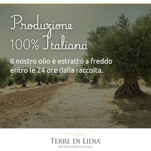 Terre Di Lidia - Olio Extravergine Di Oliva - 2 Latte Da 5 L (10 L) - Filiera Corta, Campagna 2025/2026, Estratto A Freddo - Varietà Coratina, Gusto Intenso - Produzione 100% Italiana - 7