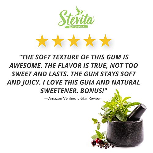 Stevita Stevia Dent Sugar-Free Gum - Natural Wintergreen Flavor (12 Pack) - 12 pieces - Supports Oral Health - Non GMO, Vegan, Keto, Gluten Free - 144 Servings