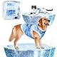 Kühlweste für Hunde, Sommer Cool und Bequem Hundemantel für kleine bis mittelgroße Hunde (M)