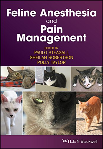 Feline Anesthesia and Pain Management      1st Edition, Kindle Edition