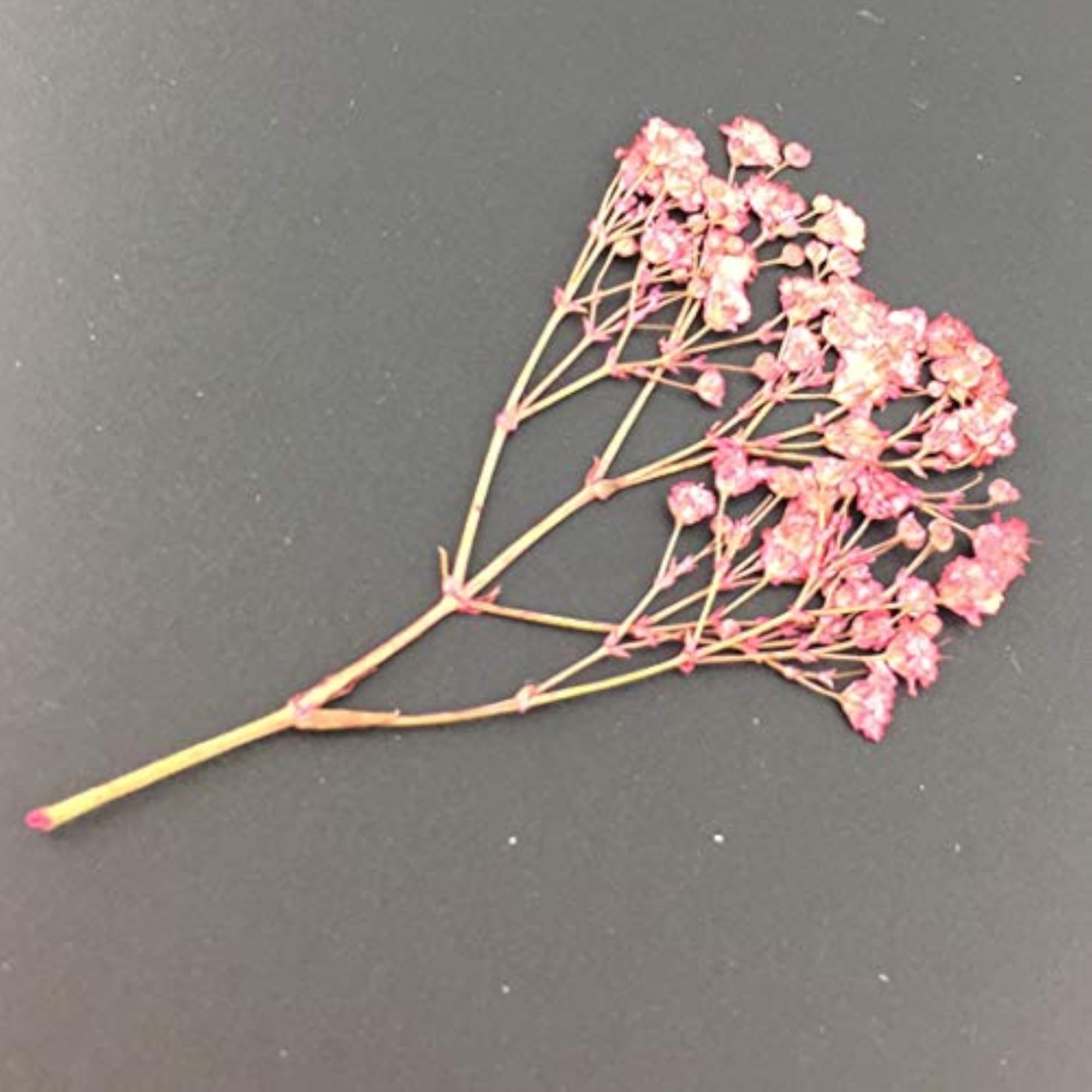 50PCS Multipurpose Dried Flower Craft Material Kit
