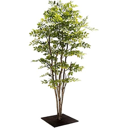 Amazon 人工観葉植物 全高1 2m トネリコ ライトグリーン コンパネ仕様 シマトネリコ ゴールデンリーフ 人工樹木 造花 フェイク ケイシン 人工観葉植物 オンライン通販