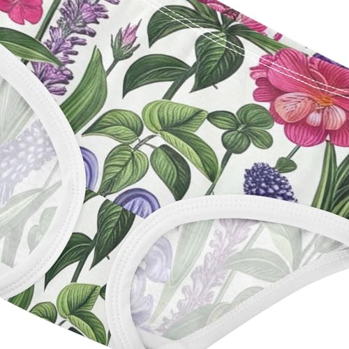 Toddler Girls Underwear 2t Cotton Cute Panties Girl Print Underpants Briefs Vintage Botanical Flowers4