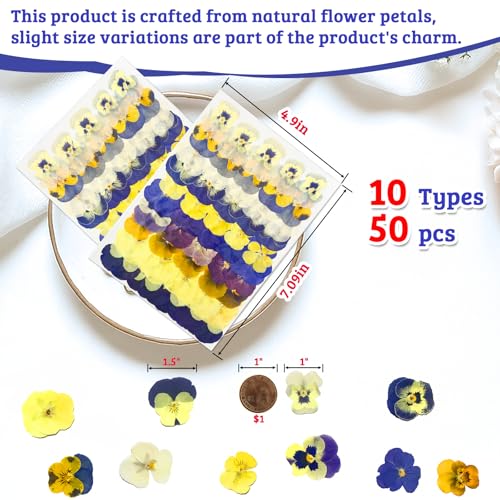 50 Piezas Flores Naturales Secas para Decoración miniatura 2