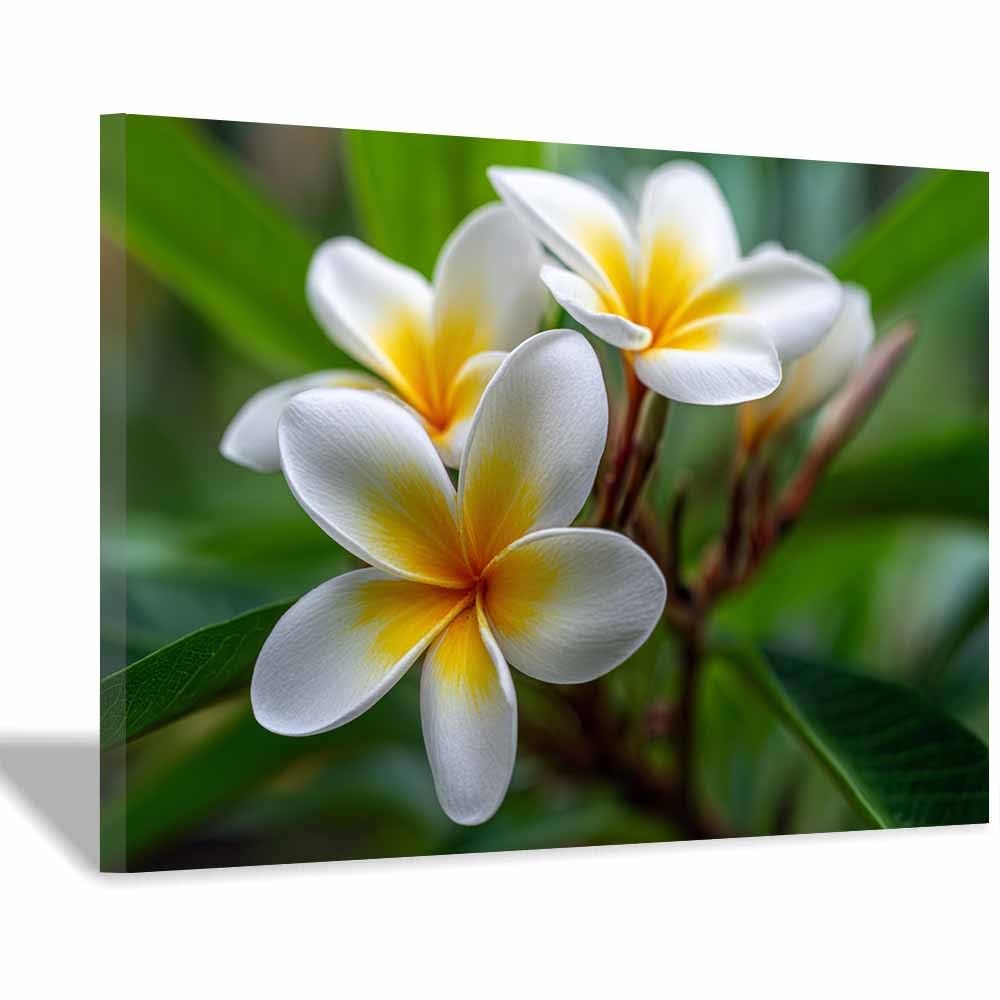 ZAMAEIU Landscape Pictures For Wall Five-petalled flower art prints and posters, Suitable for Living Room Bedroom Decor apartment Wall Decoration(white)-60x90cm Framed