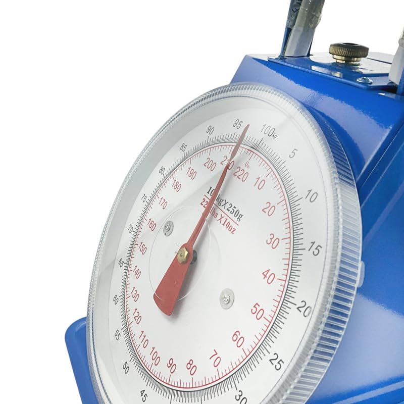 Professionelle mechanische Waage, 100 kg