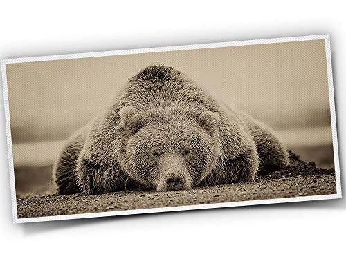 Bear Decor Posters For Room Aesthetic Brown Bear Poster Canvas Wall Art For Living Room Decoration, A Gift For The Man Who Has Everything 12X24Inch Unframed #TOP29
