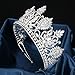 QXMYOO Zirconia Tiaras and Crowns for Women Wedding Prom Quinceanera Pageant Tiara Birthday Jewelry Gift Miss Universe Crown Silver