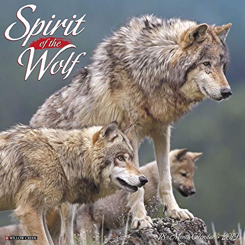 Spirit of the Wolf 2019 Wall Calendar