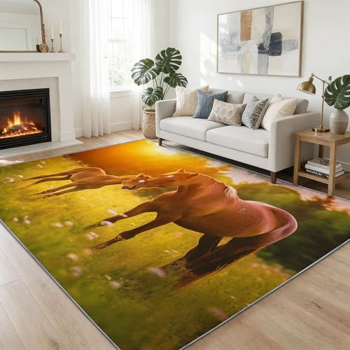 Alfombra de pelo corto suave de 60x90 cm que soluciona las manchas del pasillo 3