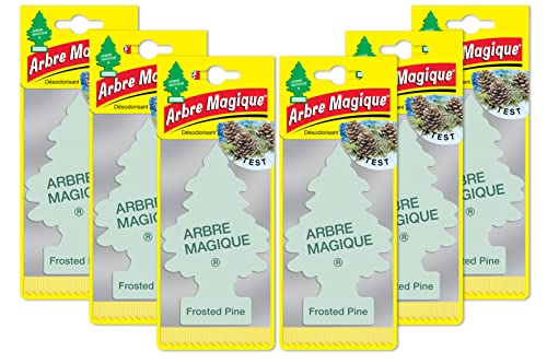 Arbre Magique Kit de 6 Rafraîchisseurs d'air Parfumeurs Pin Glacé. Super arôme de Longue durée pour la Voiture, la Maison, Le Bureau, etc.