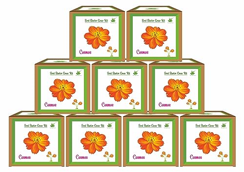 Sow and Grow Mini Cosmos Flower Grow Kits – Set of 9 | Easy-to-Gr...