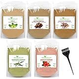Herbal Hair Mask Powder Combo, Indian Ayurvedic Herbal Powder for Hair Growth (1.1 lb, 500g), Bhringraj, Hibiscus, Shikakai, Reetha, Amla Shampoo (3.5 oz each)