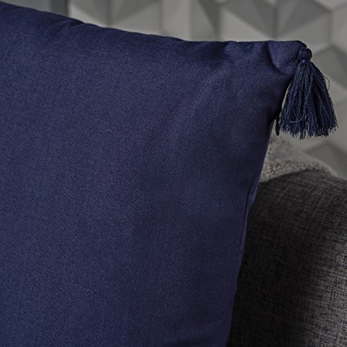 Christopher Knight Home Nolan Fabric Tassel Square Throw Pillows, 2-Pcs Set, Dark Blue #TOP2