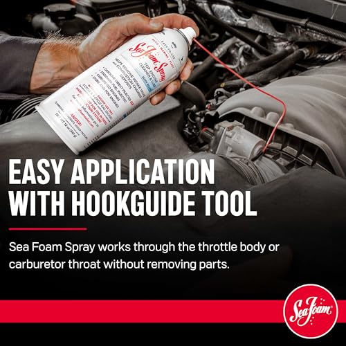 image for Sea Foam Spray Engine Intake Valve Cleaner, SS14, 14 oz, Pack of 2, 12