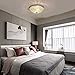 SOTTAE Elegant Crystal Chandelier Ceiling Light,2-Light Chrome Finish Modern Flush Mount Ceiling Light Fixtures for Bedroom Living Room Kids Room Entryway Foyer Hallway, 12 Inch Dome Ceiling Lamp