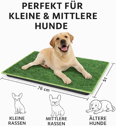 Hundetoilette 76×51 cm – 5-Schicht Hundeklo mit Tablett & 2 Ersatz Kunstrasen – Geruchsfrei, rutschfest, Waschbar – Für Zuhause, Balkon, Indoor & Outdoor