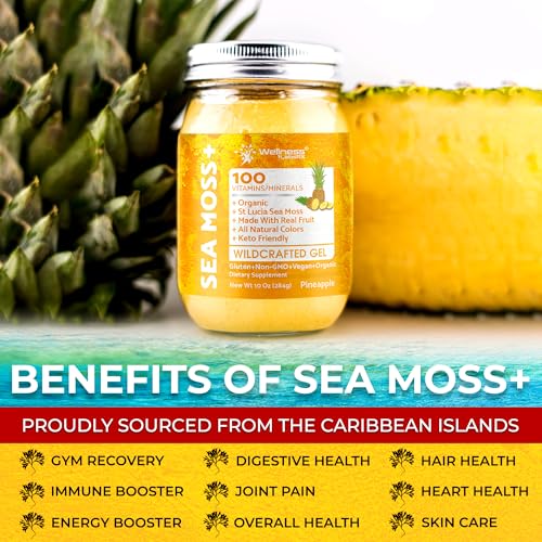 Irish Sea Moss Gel Organic Raw