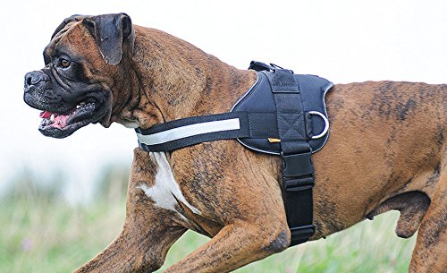 Dingo Dog Harness Handmade Reflective STRONG Modern Handle on the Back Sport Type Black 12938, 5 - Image 4