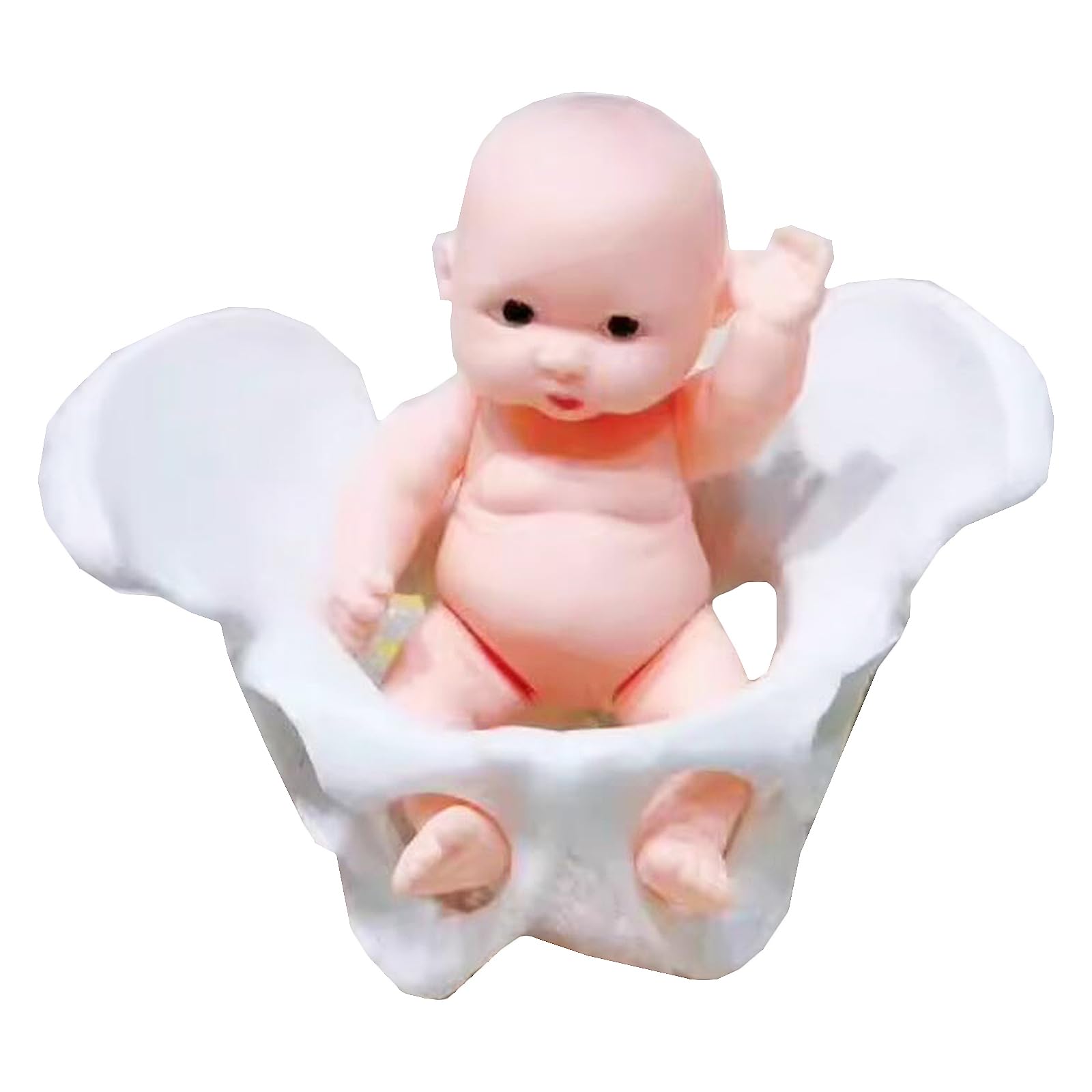 Mini Żeński Model Miednicy I Dziecka-Symulator Porodu Model Miednicy-Do Wyświetlania Modelu Medycznego Do Nauczania