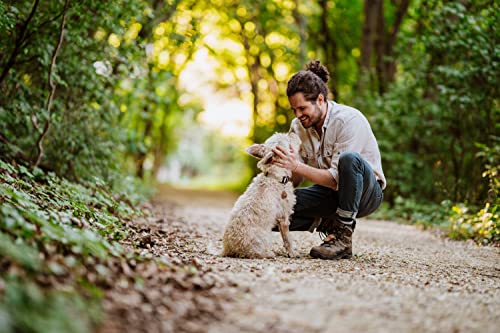 Tickless ECO - Biodegradabile Ultrasuoni