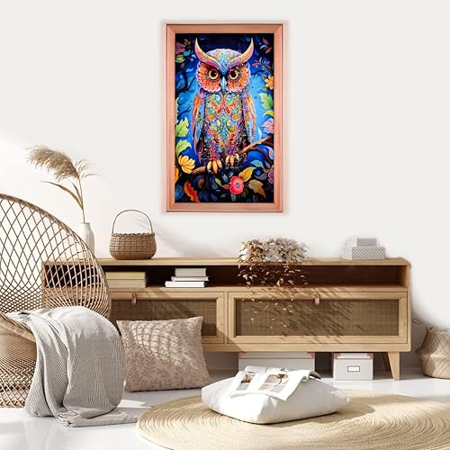 Image of Amazon Brand - Umi Framed Wall Painting, Colourful Owl with Crystal Diamonds For Wall Decoration Esthetic Wall Hanging Painting For Living Room Bedroom Housewarming Gift Office - 30x50cm