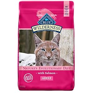 Blue Buffalo Wilderness High Protein, Natural Adult Dry Cat Food, Salmon 11-lb