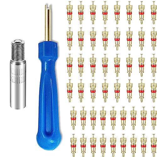 Chiave Valvola per Pneumatici 50 Valvola Nucleo 1 Chiave Valvola Presta 1 Pneumatici Estensione Valvola Ripara Gomme Auto Attrezzi Smonta Pneumatici per Auto Moto Bici Scooter