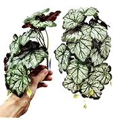 Small manufacture image 11