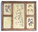 Large Pressed Flower Wall Decor Frame, 5-Window Rustic Brown Wood Herbarium, Real Dried Botanicals and Wild Herbs Arrangement, Vintage Farmhouse Style Glass Framed Art, Perfect Housewarming Gift, 15x18.1 in
