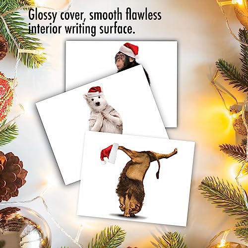 Image of The Best Card Company - 10 Blank Animal Christmas Note Cards - Assorted Bulk Holiday Cards for Men and Women, Fun Wildlife (4 x 5.12 Inch) - Yuletide Zoo Yoga M6547XSB
