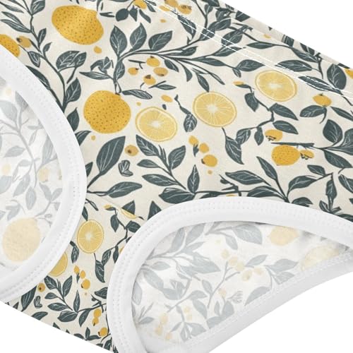 ZZKKO Summer Lemon Farmhouse Girls Underwear Toddler Panties for Girls Comfort Brief Size 2-8T3