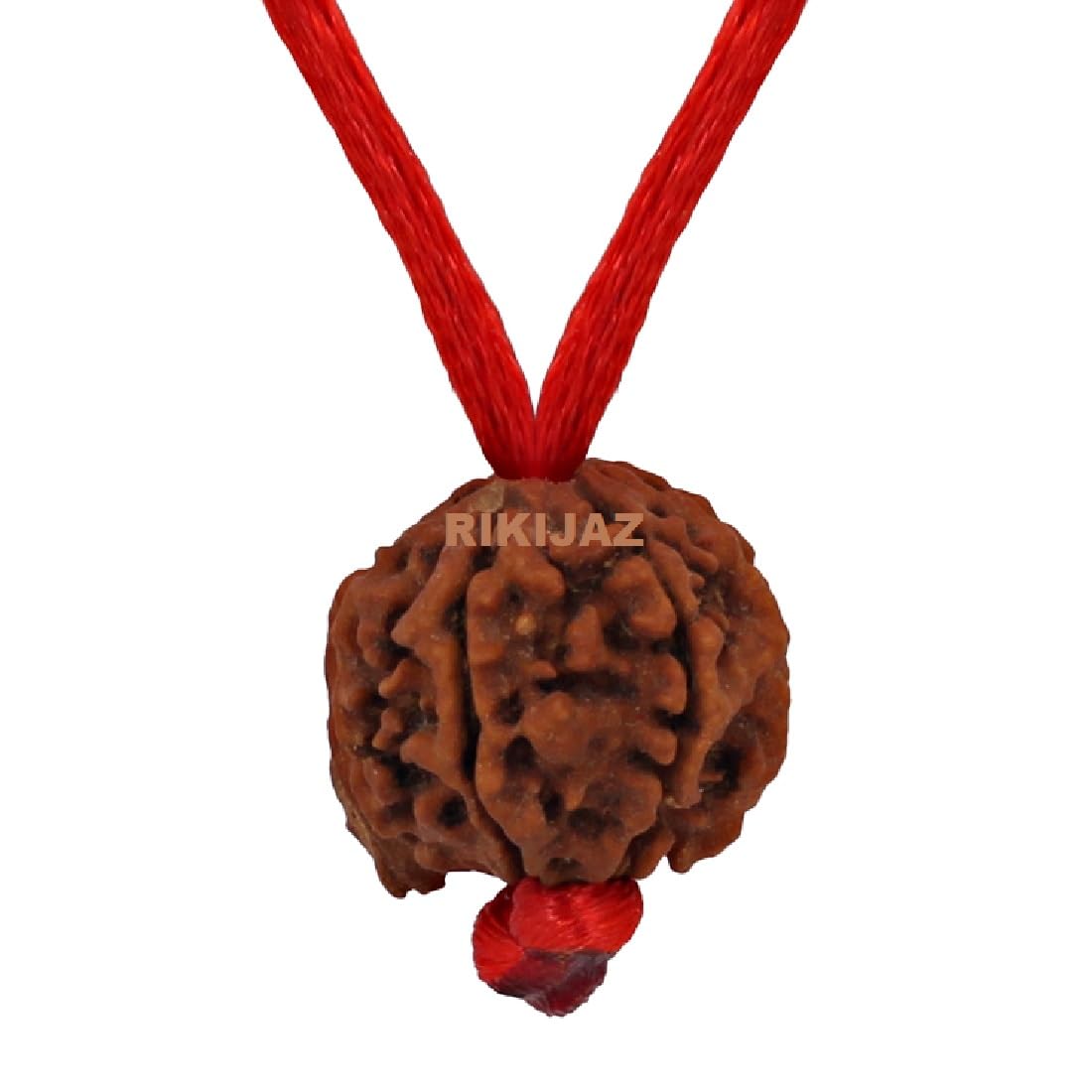 RIKIJAZ Original and Certified Ganesha Rudraksha Bead with Red Thread for Daily Wearing | Nepali Ganesha Rudraksha Trunk Bead | Unisex Design for Men Women Boys and Girls-image-47
