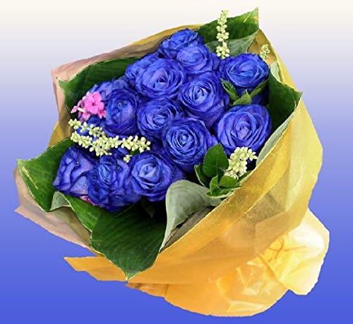 香道具 鋳銅 内金溜 香炉 在銘 M R7602 D-602高岡銅器蝋型鋳銅龍文大型