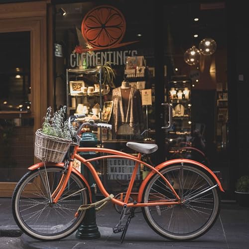 La bicyclette