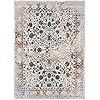 Persian-Rugs Luxe Weavers Rug 6495 Distressed Floral Area Rug