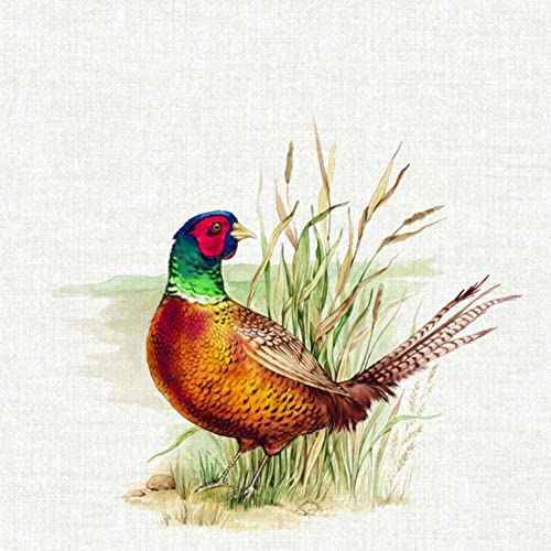 IHR Ideal Home Range - Servilletas de papel Hunted Pheasant Cream 20 piezas. Servilletas de almuerzo de 3 capas de 33 cm x 33 cm / 13 pulgadas x 13 pulgadas